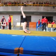 Attrezzistica
